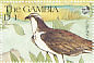 Osprey Pandion haliaetus  1991 Wildlife 16v sheet