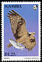 Osprey Pandion haliaetus  1993 African birds of prey 