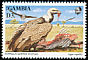 RÃ¼ppell's Vulture Gyps rueppelli  1993 African birds of prey 