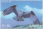 Osprey Pandion haliaetus  1999 Marine life of Galapagos 40v sheet