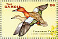 Cinnamon Teal Spatula cyanoptera  2001 Ducks Sheet