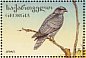Eurasian Goshawk Accipiter gentilis  1996 Birds Sheet