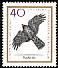 Eurasian Goshawk Accipiter gentilis  1965 Birds of prey 