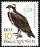 Osprey Pandion haliaetus  1982 Protected birds 