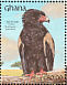 Bateleur Terathopius ecaudatus  1991 The birds of Ghana Sheet