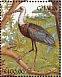African Woolly-necked Stork Ciconia microscelis  1991 The birds of Ghana Sheet
