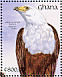 African Fish Eagle Icthyophaga vocifer  1991 The birds of Ghana  MS MS MS