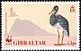 Black Stork Ciconia nigra  1991 WWF 