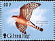 Eurasian Sparrowhawk Accipiter nisus  2001 Wings of prey 6v set