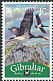 Black Stork Ciconia nigra  2009 Bird definitives 