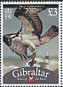 Osprey Pandion haliaetus  2009 Bird definitives 