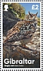 Eurasian Eagle-Owl Bubo bubo  2020 Owls Sheet