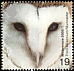 Western Barn Owl Tyto alba  2000 Millennium 2000, above and beyond 4v set