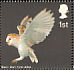 Western Barn Owl Tyto alba  2003 Birds of prey Sheet