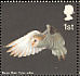 Western Barn Owl Tyto alba  2003 Birds of prey Sheet