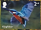 Common Kingfisher Alcedo atthis  2023 River wildlife 10v sheet, sa