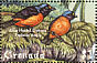 Hispaniolan Euphonia Chlorophonia musica  2000 Birds Sheet