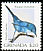 Blue-grey Gnatcatcher Polioptila caerulea  2000 Bird definitives 