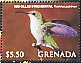 Red-billed Streamertail Trochilus polytmus  2023 Hummingbirds of the Caribbean Sheet