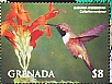 Bahama Woodstar Nesophlox evelynae  2023 Hummingbirds of the Caribbean Sheet