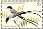 Fork-tailed Flycatcher Tyrannus savana  1984 Songbirds  MS