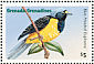 Hispaniolan Euphonia Chlorophonia musica  1995 Birds of the Caribbean  MS