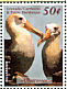 Snowy Albatross Diomedea exulans  2000 Millennium 17v sheet