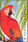 Scarlet Macaw Ara macao  2000 Parrots and Parakeets  MS MS