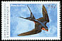 Barn Swallow Hirundo rustica  2000 Birds of the Caribbean 