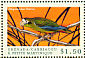 Hispaniolan Amazon Amazona ventralis  2000 Birds of the Caribbean Sheet
