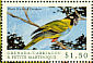 Nanday Parakeet Aratinga nenday  2000 Birds of the Caribbean Sheet