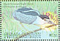 Black-crowned Night Heron Nycticorax nycticorax  2001 Ducks and waterfowl of the Caribbean Sheet