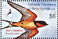 Barn Swallow Hirundo rustica  2003 Birds of the world  MS