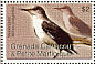 Northern Mockingbird Mimus polyglottos  2007 Birds Sheet