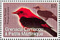 Scarlet Tanager Piranga olivacea  2007 Birds Sheet