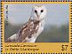 American Barn Owl Tyto furcata  2017 Barn Owl Sheet