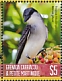 Grey Kingbird Tyrannus dominicensis  2019 Colorful birds Sheet