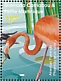 American Flamingo Phoenicopterus ruber  2021 Flamingos Sheet