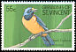 Hispaniolan Euphonia Chlorophonia musica  1990 Birds of the West Indies 