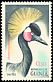 Black Crowned Crane Balearica pavonina  1962 Birds 