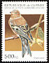Eurasian Chaffinch Fringilla coelebs  1995 Birds 