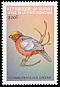 Plushcap Catamblyrhynchus diadema  1999 Birds of the world 