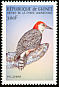 Red-bellied Woodpecker Melanerpes carolinus  1999 Birds of the world 
