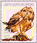 Short-eared Owl Asio flammeus  2001 Owls Sheet