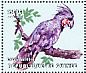 Palm Cockatoo Probosciger aterrimus  2001 Parrots Sheet