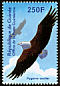 African Fish Eagle Icthyophaga vocifer  2001 Philanippon 01 