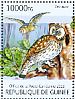 Tawny Owl Strix aluco  2013 Owls Sheet