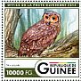 Spotted Wood Owl Strix seloputo  2016 Owls Sheet