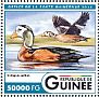 African Pygmy Goose Nettapus auritus  2016 Water birds  MS