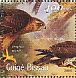 Eurasian Goshawk Accipiter gentilis  2001 Raptors Sheet
